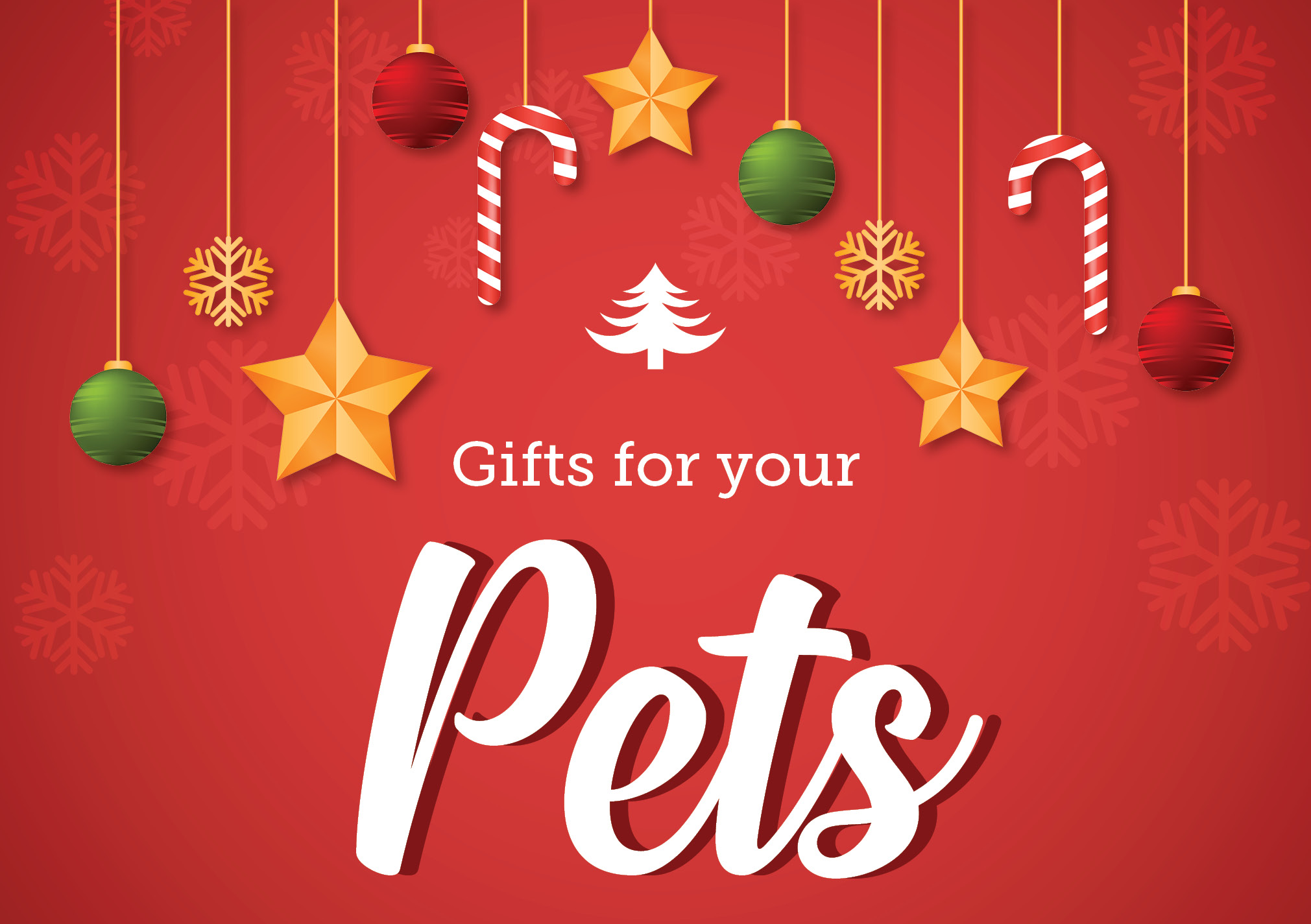 Gifts for your Pets